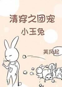 清穿之团宠小玉兔