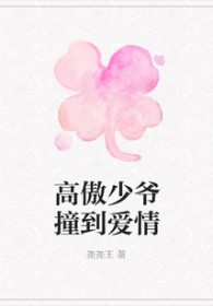 高傲少爷撞到爱情