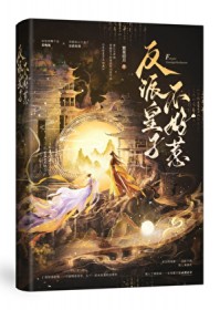 反派皇子不好惹